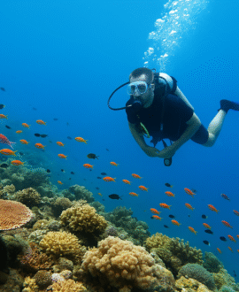 Scuba Diving