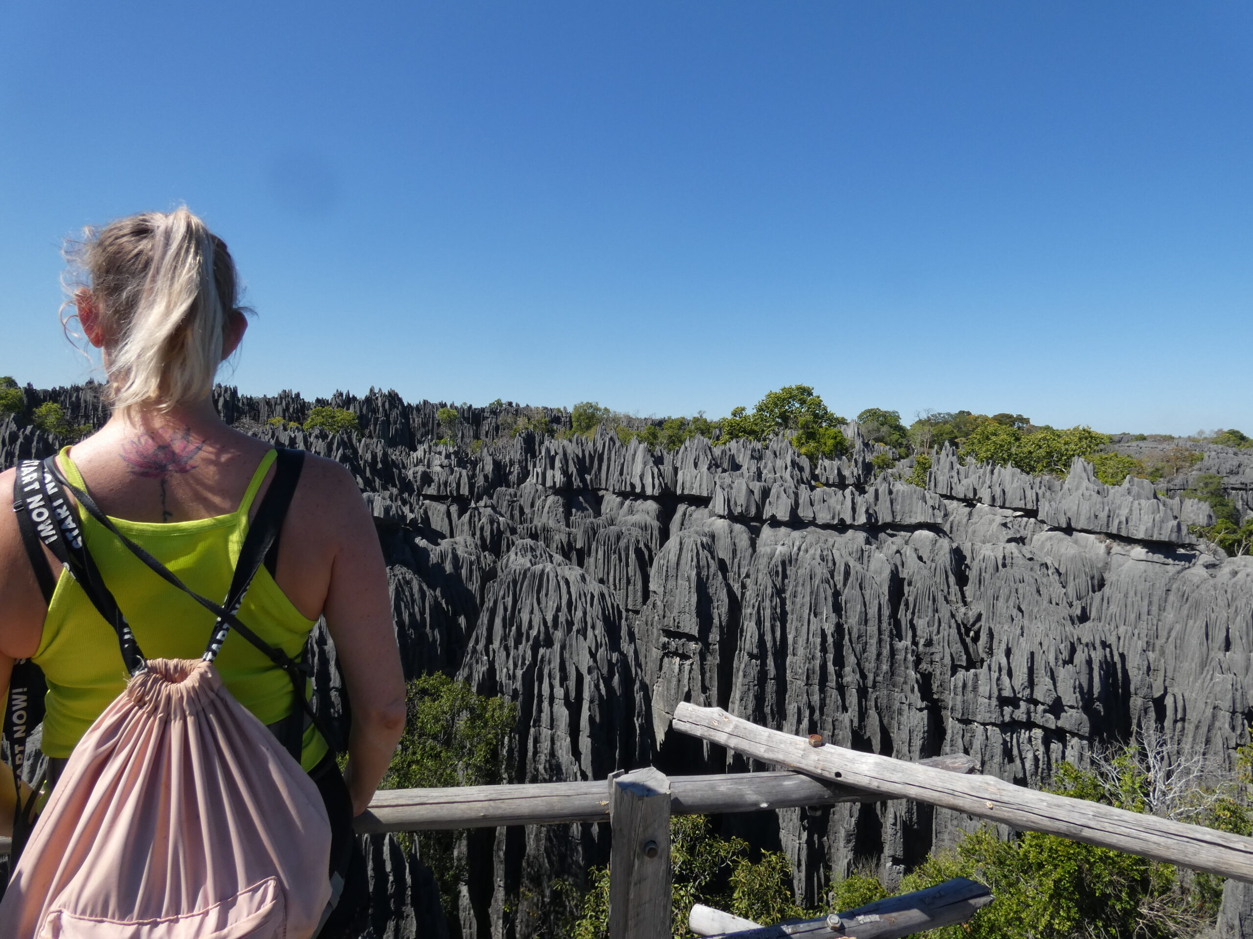 Luxury Traveler Stories Testimonials from Tsingy Tours Clients