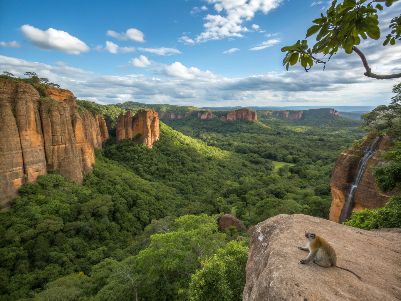 Endemic wildlife in Kirindy Forest