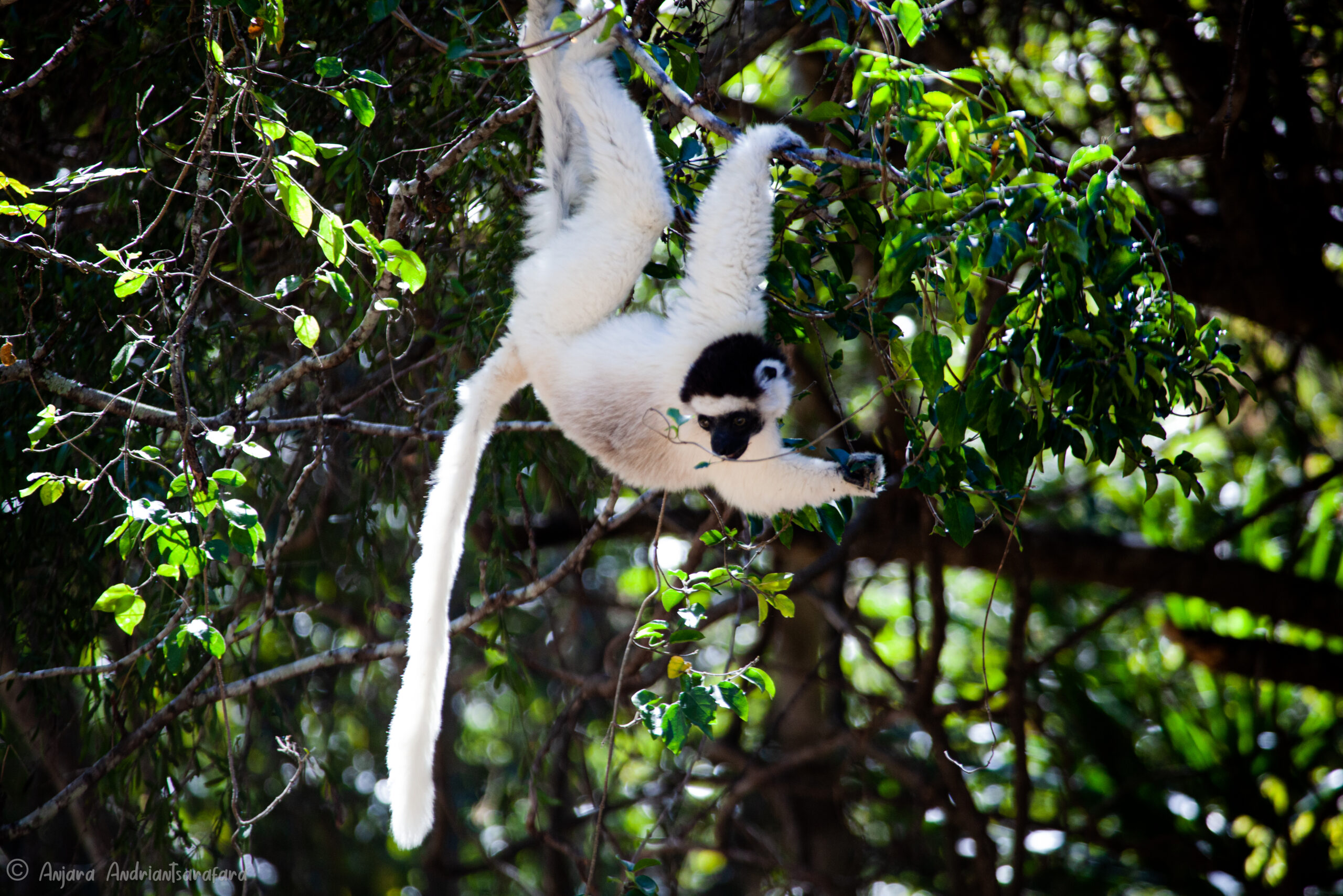 TSINGY TOUR 4 DAYS - Image 3